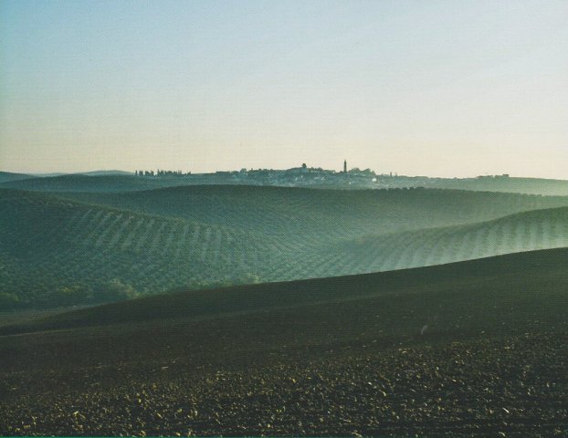 Paisaje (3)